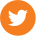 twitter social icon